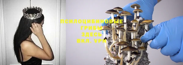 марки lsd Аркадак